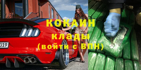 стафф Алзамай