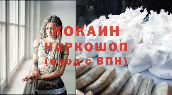 стафф Алзамай